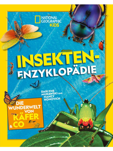 White Star Insekten-Enzyklopädie: Die Wunderwelt von Käfer & Co. | National Geographic Kids