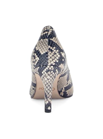 Gabor Klassische Pumps in Beige