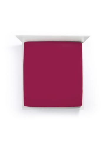 Formesse Spannbettlaken Bella Donna Jersey in Bordeaux