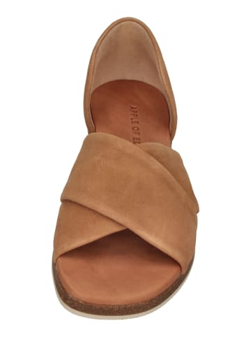Apple of Eden Sandalen CELINE 40 in braun