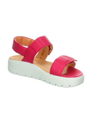 Think! Riemchensandale SING LIGHT in Magenta