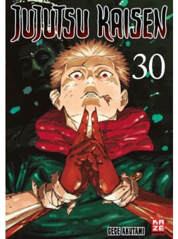 Crunchyroll Manga Buch - Jujutsu Kaisen - Band 30 (Finale)