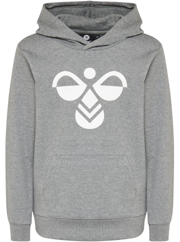 Hummel Hummel Kapuzenpullover Hmlcuatro Lebensstil Kinder in MEDIUM MELANGE