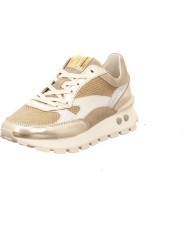 Floris van Bommel Sneaker in gold