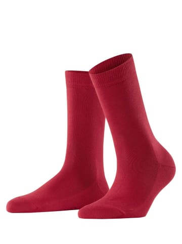 Falke Socken 1er Pack in Rot (Scarlet)