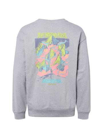 The North Face Sweatshirt in hellgrau