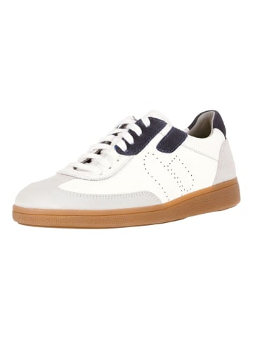 Pius Gabor Sneaker in Weiß