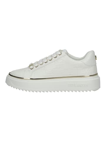 Steve Madden Sneaker in Weiß/Gold