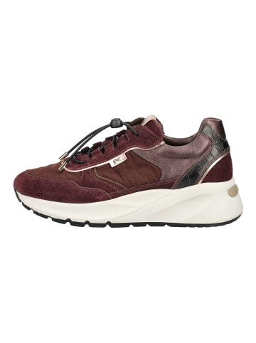 Nero Giardini Sneaker in Bordeaux