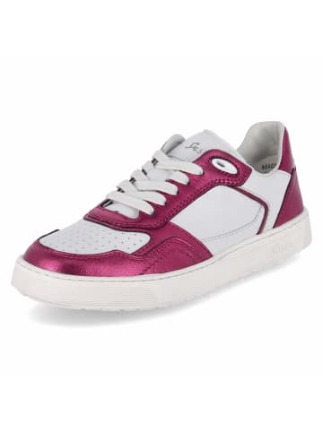 Sioux Schnürhalbschuh in pink