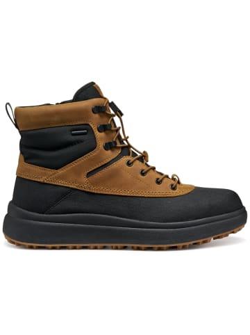 Geox Winterboot in braun