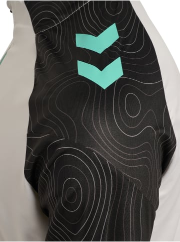 Hummel Halbreißverschluss Sweatshirt Hmlblaze Herren in VAPOROUS GRAY/POOL BLUE