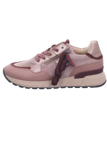 Gabor Schnürschuh in bunt