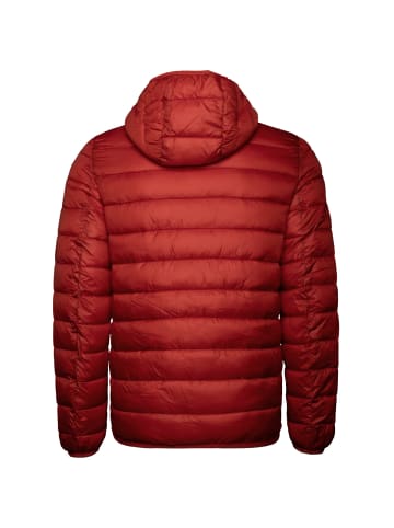 Champion Winterjacke Hooded in rot