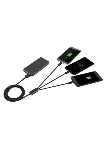 Platyne 3-in-1-Kabel (Lightning/Micro-USB/USB-C) in Schwarz
