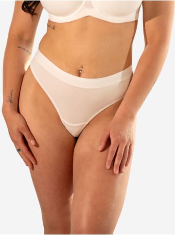 SugarShape String BASIC in ivory