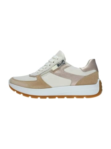 ara Sportliche Schnürschuhe in Beige