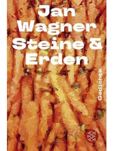FISCHER Taschenbuch Buch - Steine & Erden