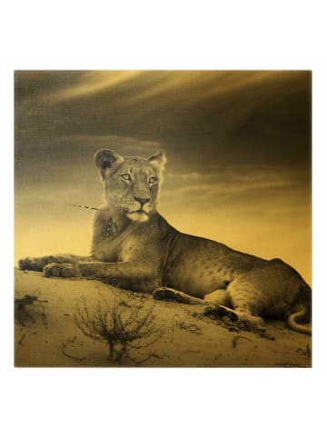 WALLART Leinwandbild Gold - Resting Lion in Schwarz-Weiß