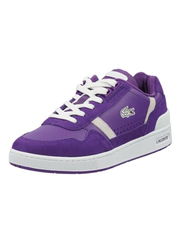 Lacoste Sneaker in Purple