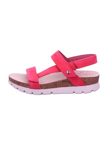 PANAMA JACK Sandalen in Pink