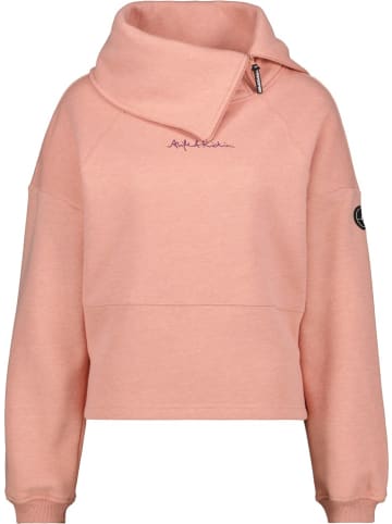 alife and kickin Pullover "Liaak A Sweat" in Braun