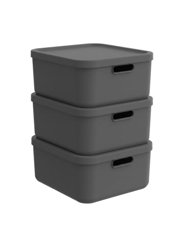 Rotho Boxen-Set 20 l 3tlg. ALBULA LIGHT