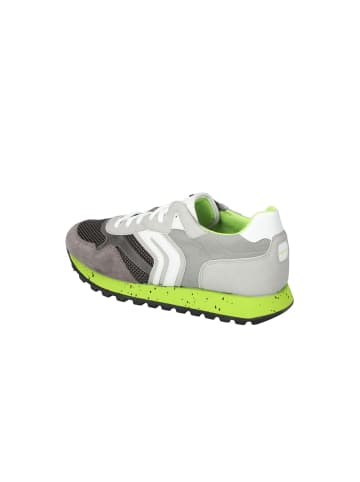 Geox Sneaker in grey/lime