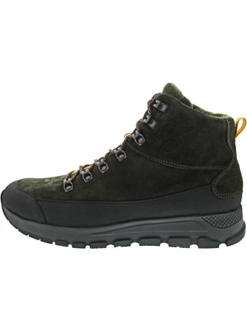 WALDLÄUFER H-Richard Schnürstiefelette Grün