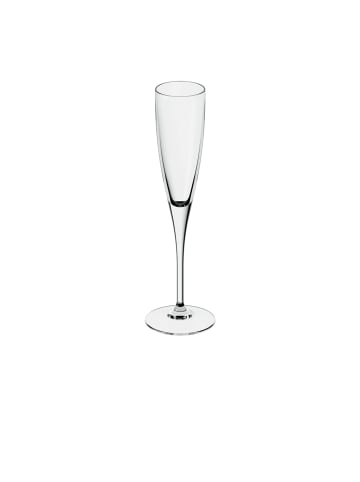 Villeroy & Boch Champagnerkelch, Set 4tlg. Maxima in klar
