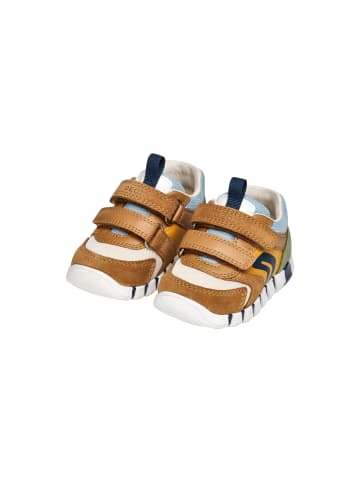 Geox Sneaker Kind aus Leder Lupidoo B.D Suede Mesh Braun