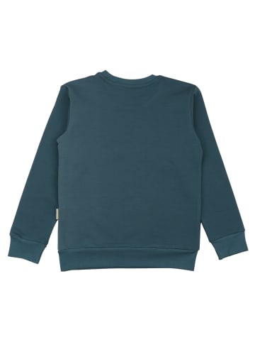 Walkiddy Sweatshirt Unifarbe in green