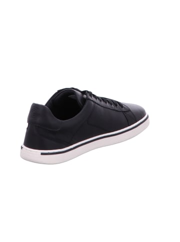 Groundies Schnürschuh in schwarz