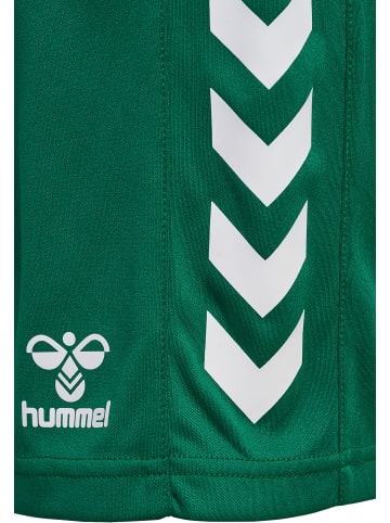 Hummel Hummel Verstellbare Taille Kurze Hose Hmlcore Kinder in EVERGREEN