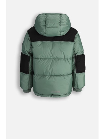 Coccodrillo Winterjacke in grün