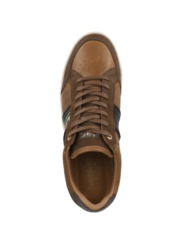 Pantofola D'Oro Sneaker low Laceno Uomo Low in braun