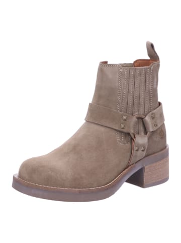 Apple of Eden Stiefeletten/Boot in taupe