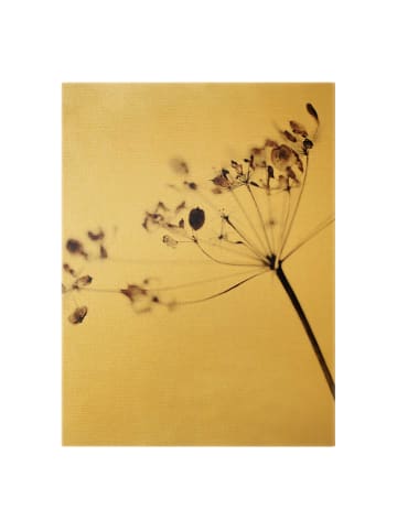 WALLART Leinwandbild Gold - Makroaufnahme Trockenblume im Schatten in Creme-Beige