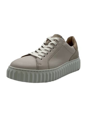 LLOYD Sportliche Schnürschuhe in Beige