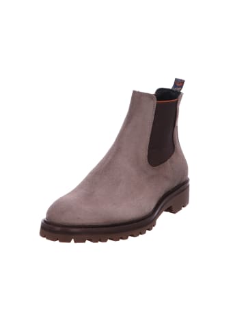 Floris van Bommel Schnürschuh in taupe