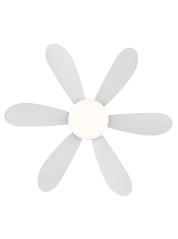 Globo lighting Deckenventilator "DELORES" in white