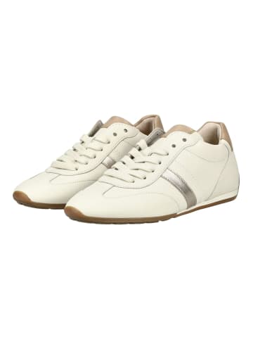 Gabor Sneaker in Puder