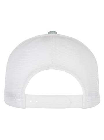  Flexfit Flexfit - 110 in mint