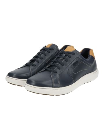 Clarks Sneaker in Navy