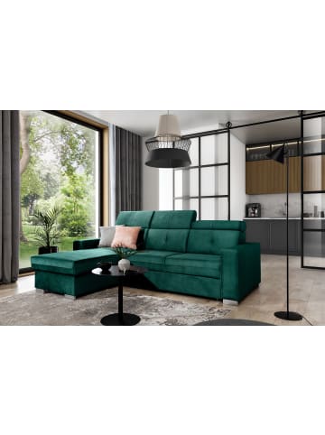 MF Design Falcon Recamiere Links in Flaschengrün -  (L) 248 x (B) 248 x (H) 95 cm