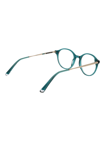 Taylor Morris Unisex Optische Fassungen Panto Grün