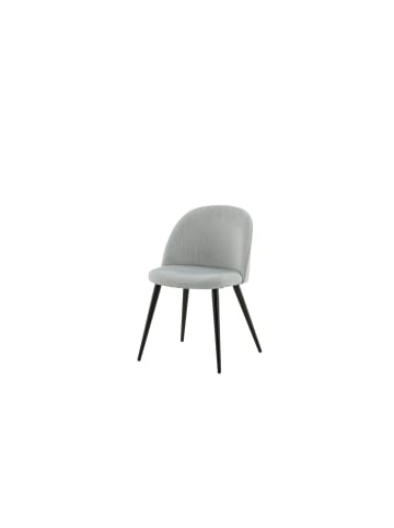 ebuy24 Esszimmerstuhl Velvet 2 Hellgrau 2er Set