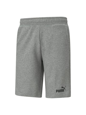 Puma Shorts in Grau