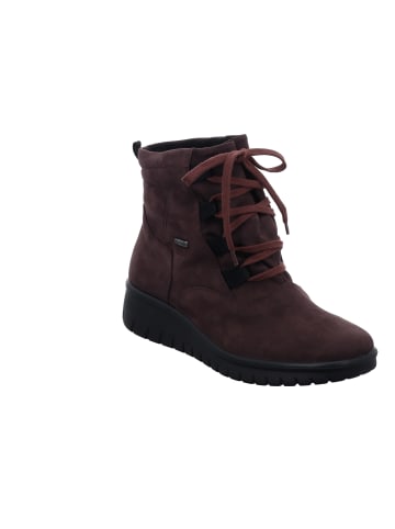 WESTLAND Stiefelette Calais in aubergine