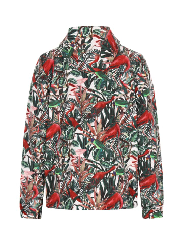 ALEKO Herren Jacke in Grün